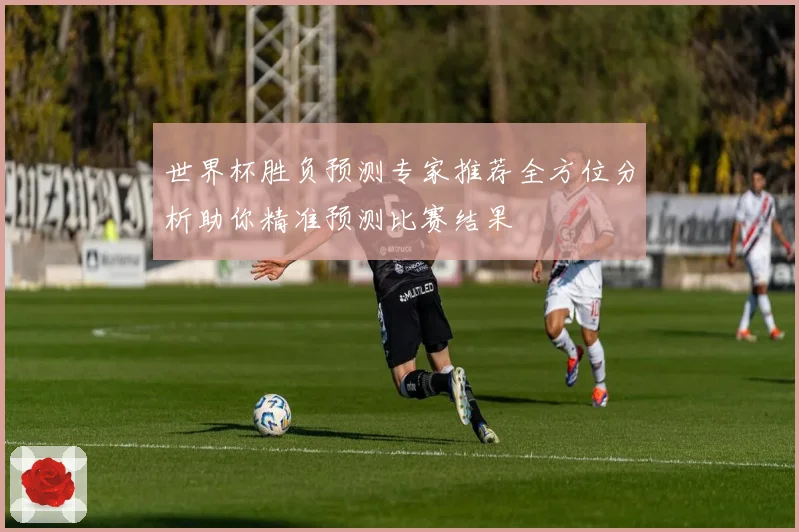 世界杯胜负预测专家推荐全方位分析助你精准预测比赛结果