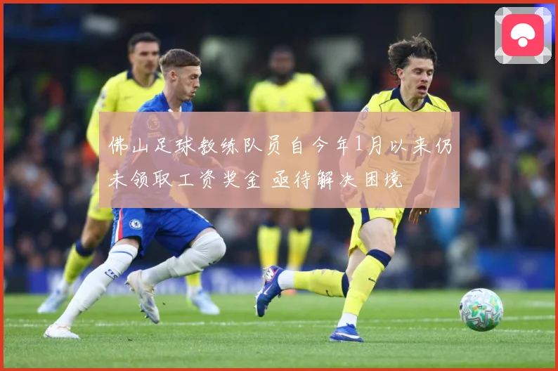 佛山足球教练队员自今年1月以来仍未领取工资奖金 亟待解决困境