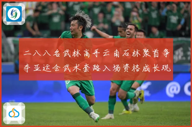 二八八名武林高手云南石林聚首争夺亚运会武术套路入场资格成长观察